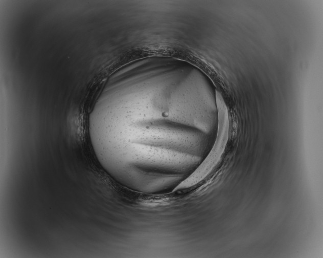 X0000093121156200710101035