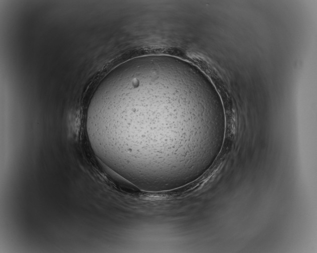 X0000093121157200710101035