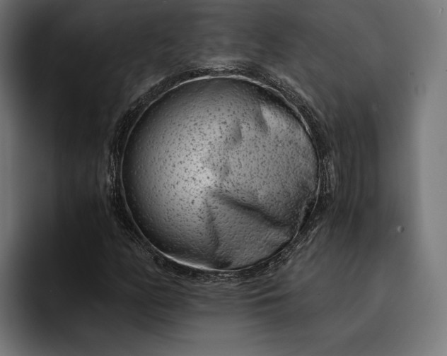 X0000093121158200710101035