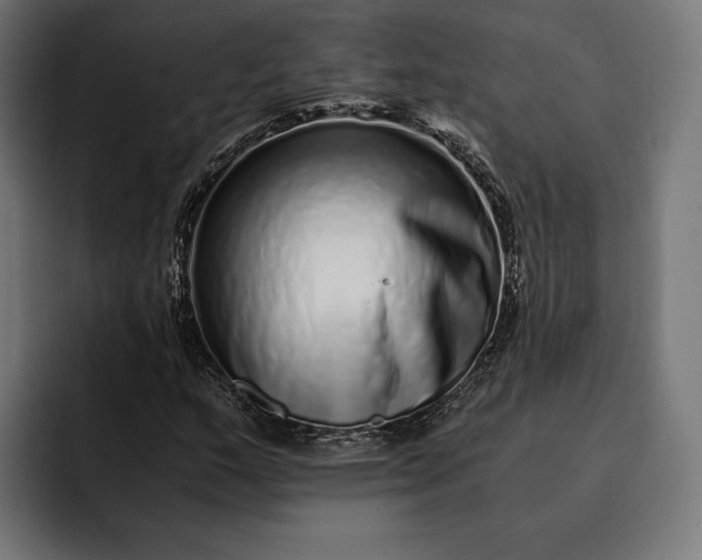 X0000093121159200710101035