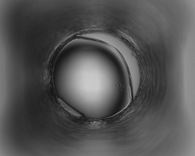 X0000093121160200710101035