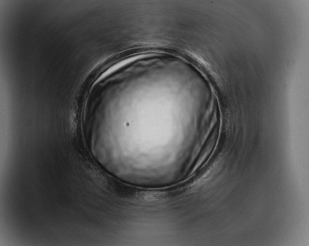 X0000093121163200710101035