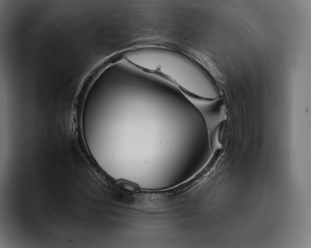 X0000093121164200710101035