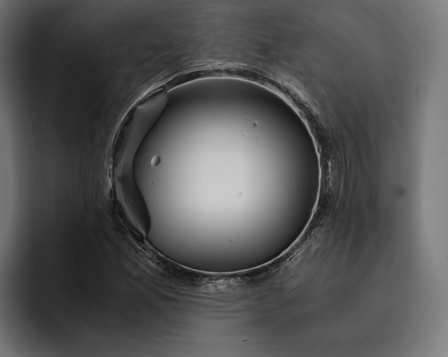 X0000093121165200710101035