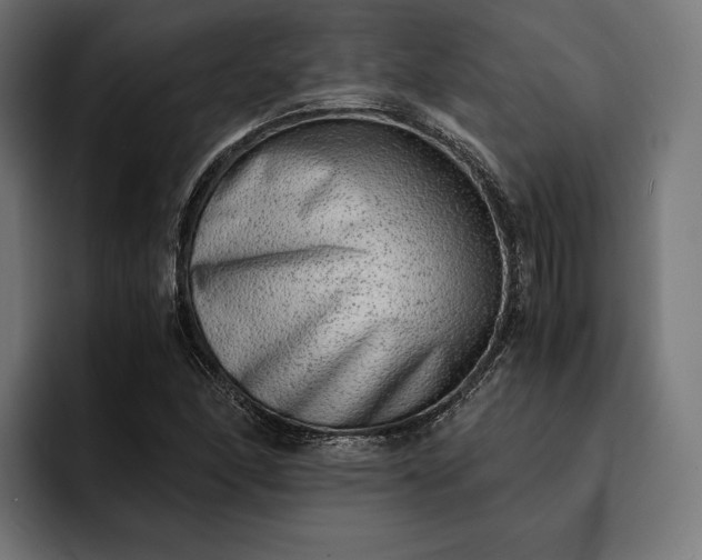 X0000093121166200710101035