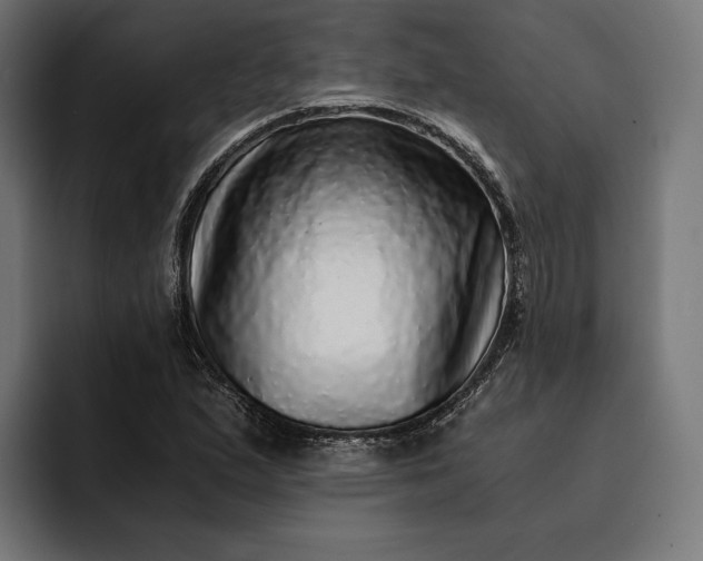 X0000093121167200710101035