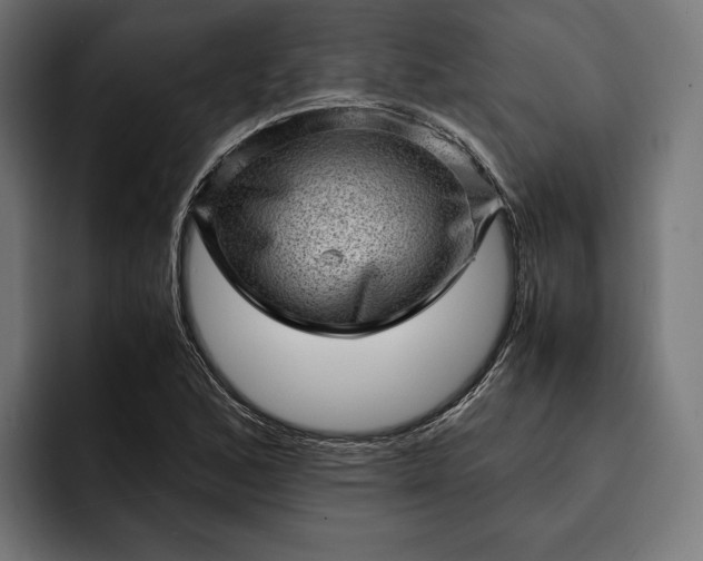 X0000093121168200710101035