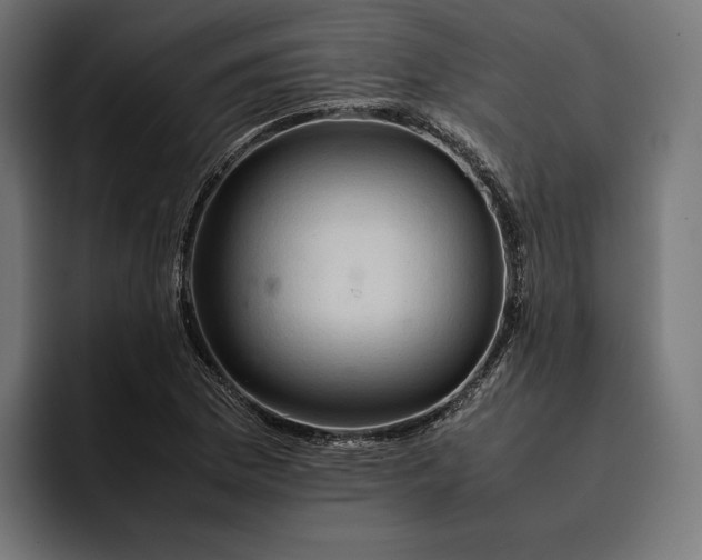 X0000093121169200710101035