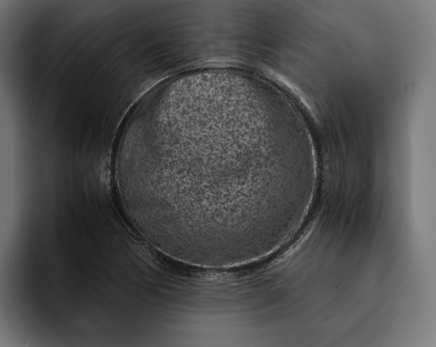 X0000093121170200710101035