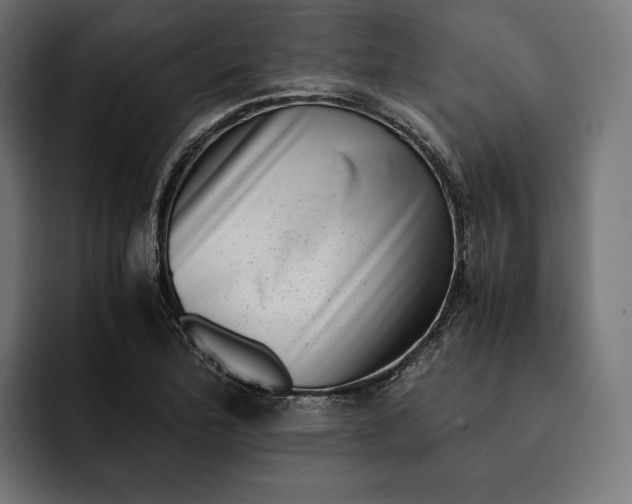 X0000093121172200710101035