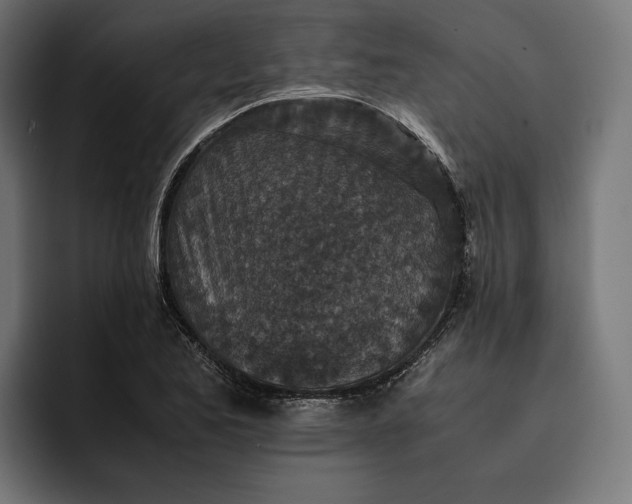 X0000093121173200710101035