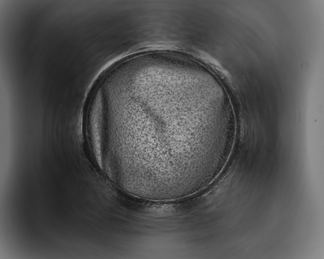 X0000093121174200710101035