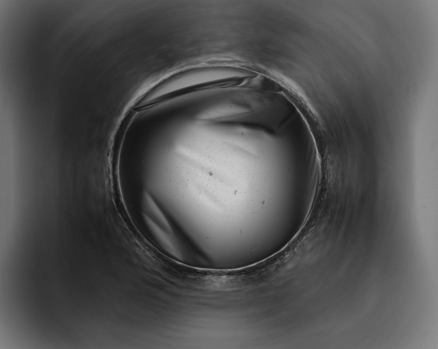 X0000093121176200710101035