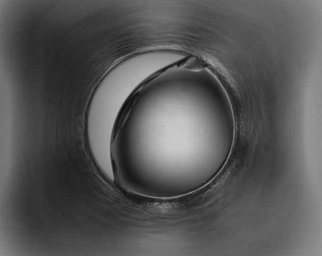 X0000093121177200710101035