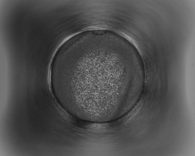 X0000093121179200710101035