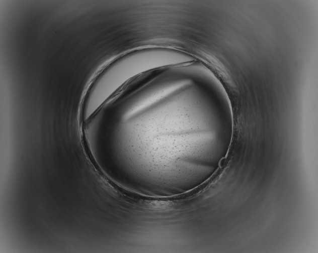 X0000093121180200710101035