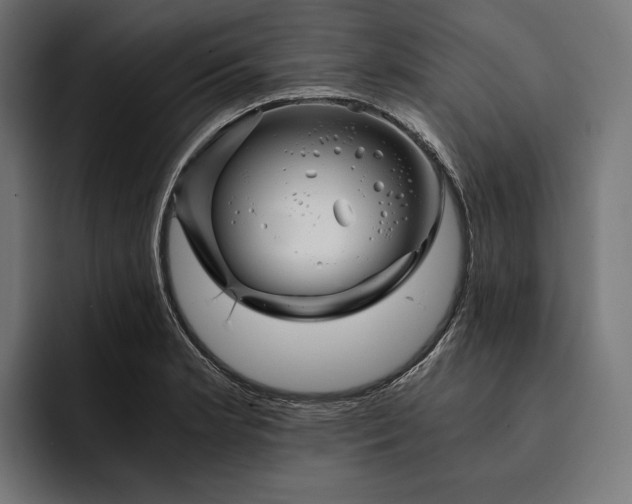 X0000093121181200710101035