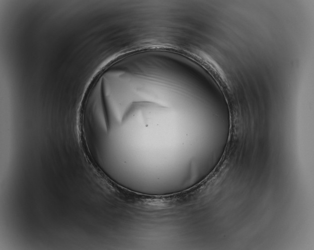 X0000093121182200710101035