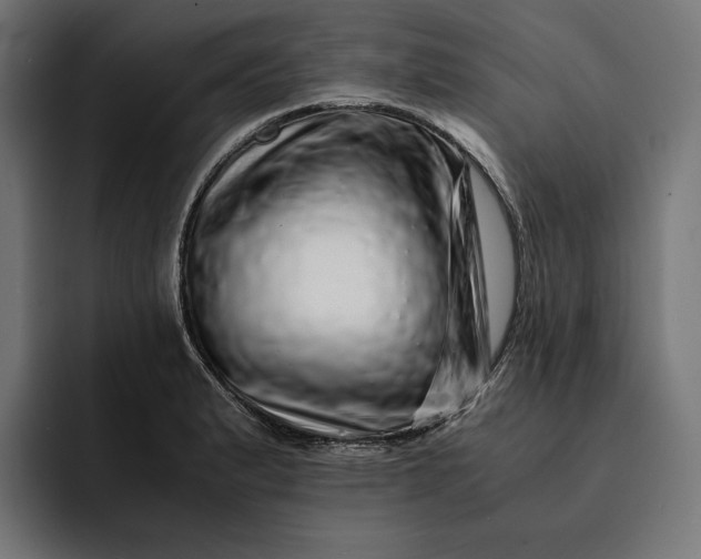 X0000093121183200710101035