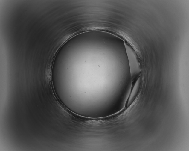 X0000093121185200710101035