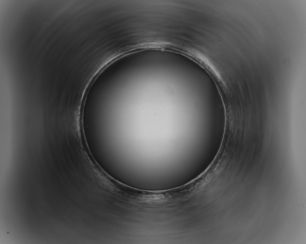 X0000093121186200710101034