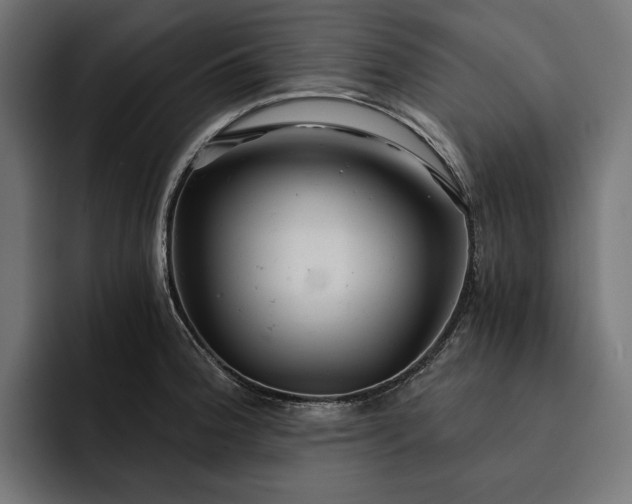 X0000093121188200710101034