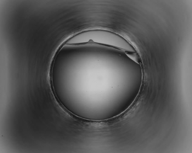 X0000093121189200710101034