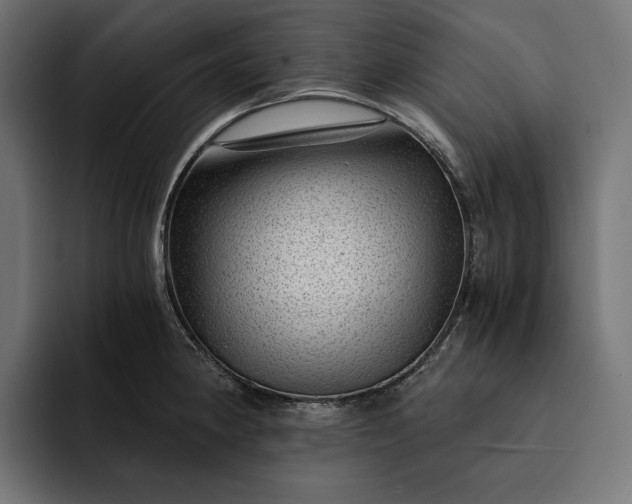 X0000093121190200710101034