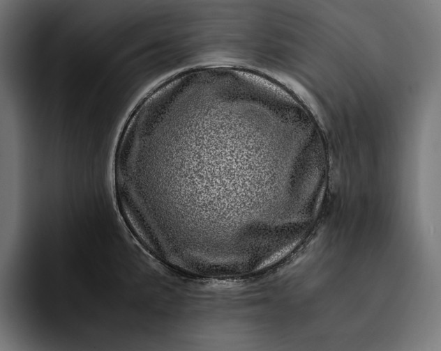 X0000093121191200710101034