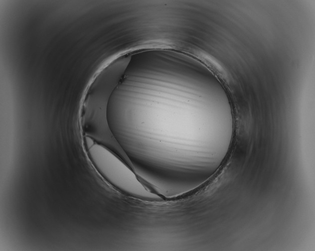 X0000093121192200710101034