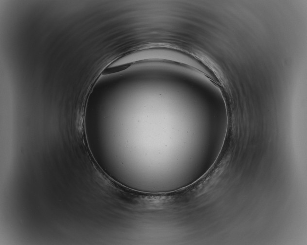 X0000093121193200710101034