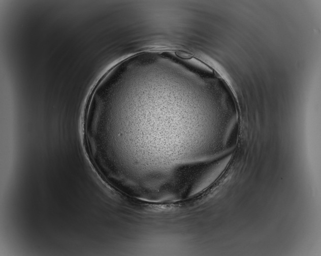 X0000093121195200710101034