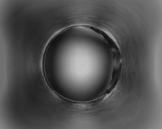 X0000093121197200710101034