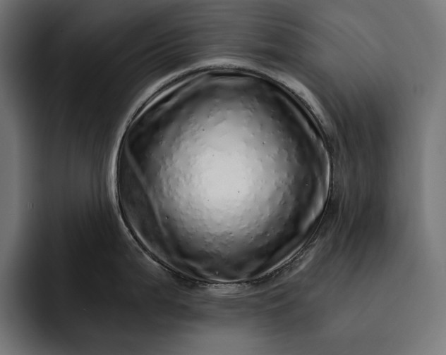 X0000093121199200710101034