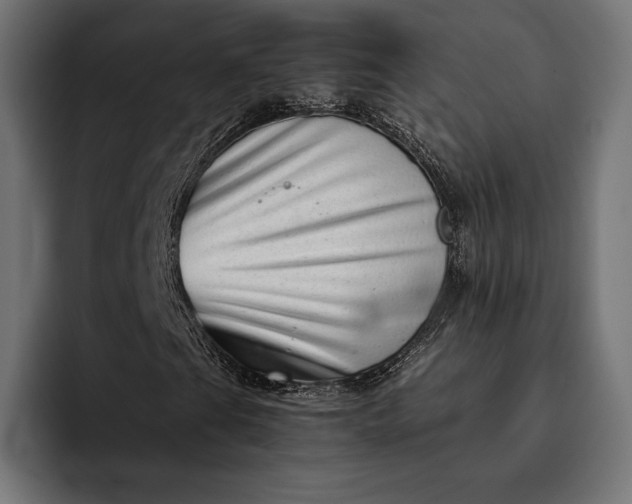 X0000093121201200710101034