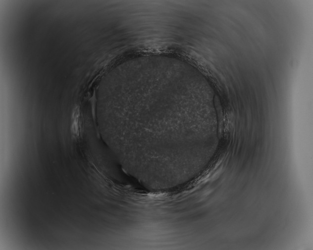 X0000093121202200710101034