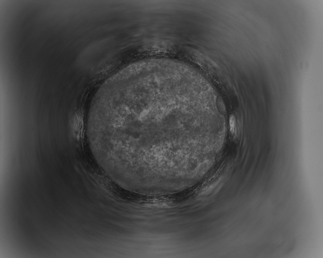 X0000093121203200710101034