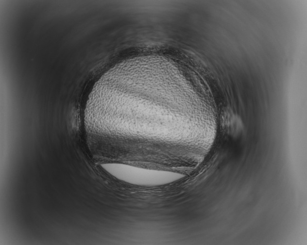 X0000093121204200710101034