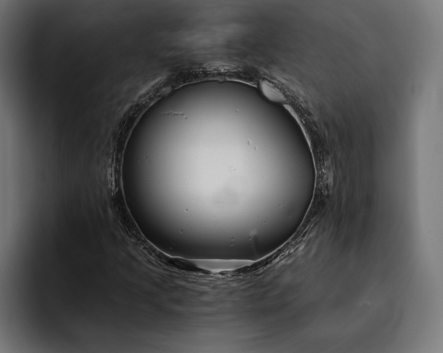 X0000093121205200710101034