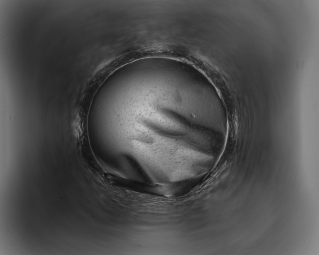 X0000093121206200710101034