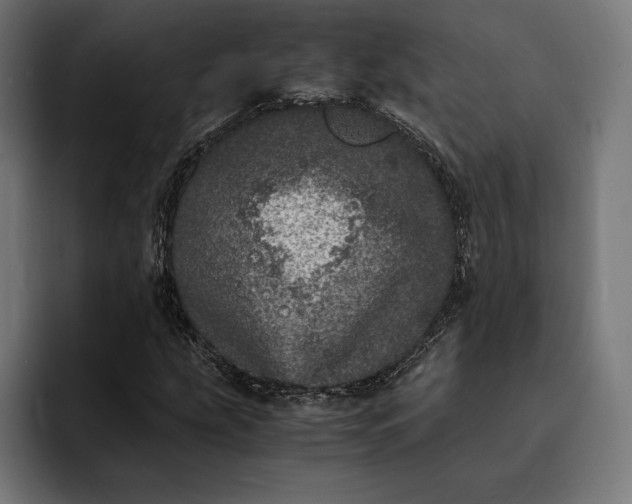 X0000093121207200710101034