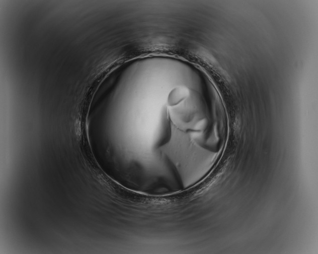 X0000093121209200710101034