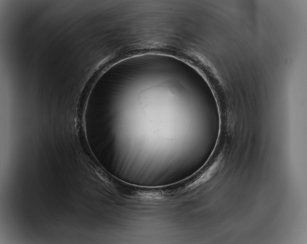 X0000093121210200710101034