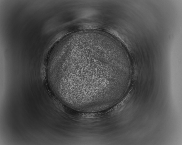 X0000093121211200710101034