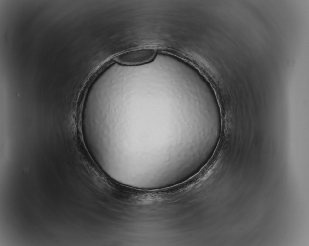 X0000093121212200710101034