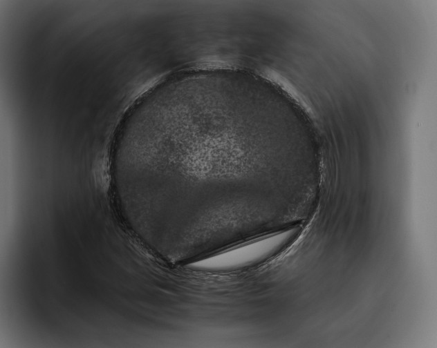 X0000093121213200710101034