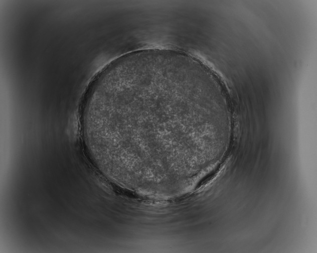 X0000093121215200710101034