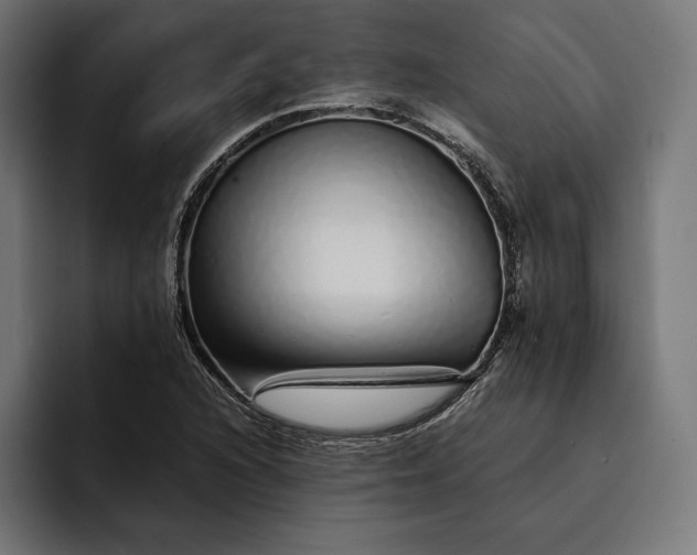 X0000093121216200710101034