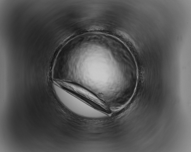 X0000093121217200710101034