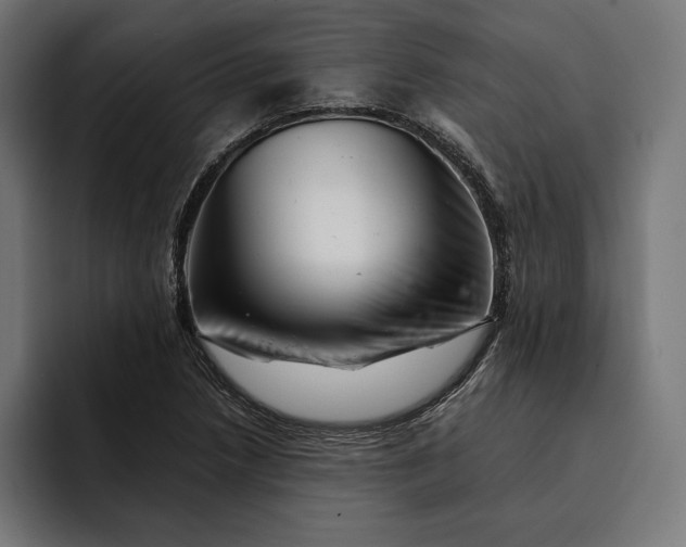 X0000093121218200710101034